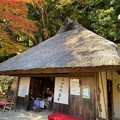 写真: とがの木茶屋　熊野古道　3