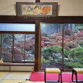 写真: 浜松長楽寺　満天星の庭