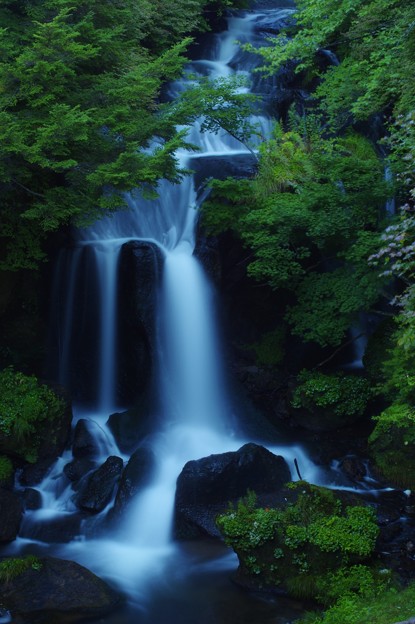 写真: 深緑の滝