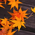 こちらも京都の紅葉落ち葉です。(#^.^#)