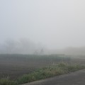 Photos: 濃霧の中を！