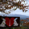 Photos: うさぎみくじと富士山