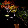 Photos: 夜の風鈴２