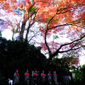 写真: 大紅葉と六地蔵
