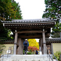 写真: 淨妙寺の門を振り返る