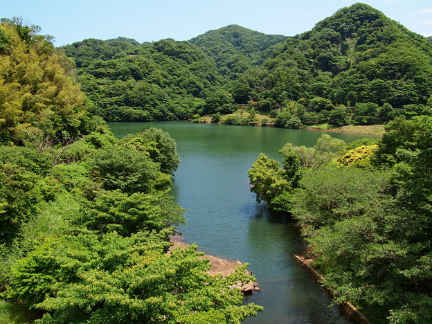 夏を迎える松川湖