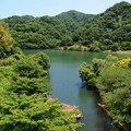 写真: 夏を迎える松川湖