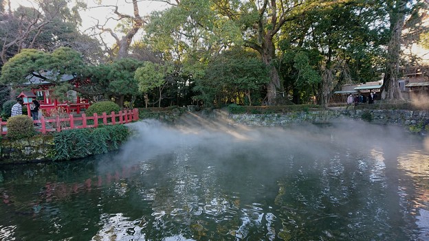Photos: 三嶋大社の神池は…