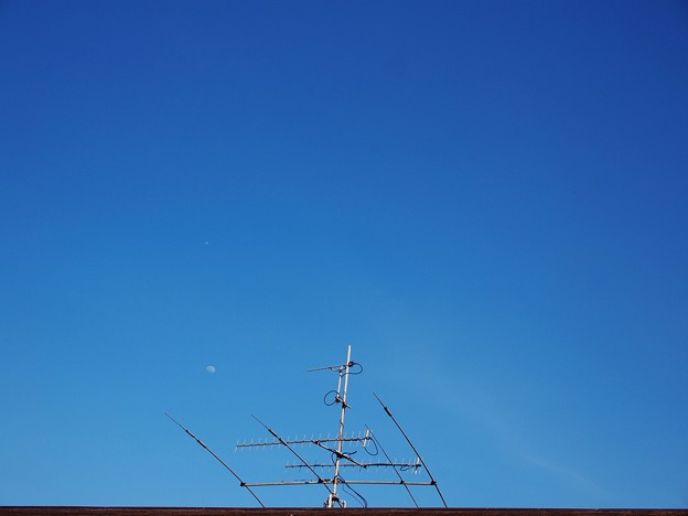 無線アンテナとお月さん