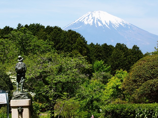 写真: 富士を仰ぐ殿下