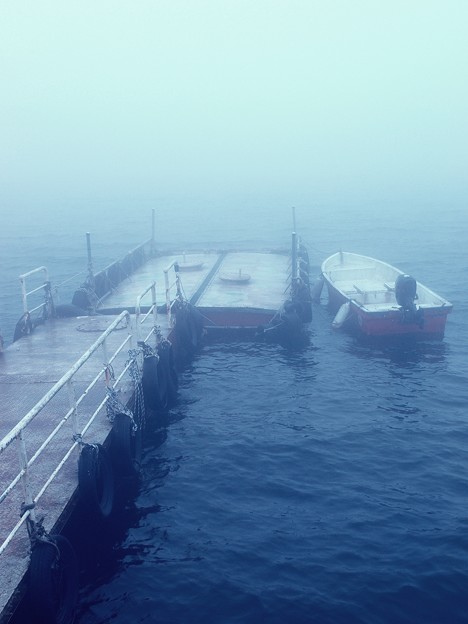 霧中の桟橋