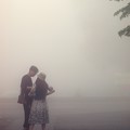 写真: 霧の中のエトランゼ