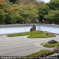 写真: 宝徳寺の庭園