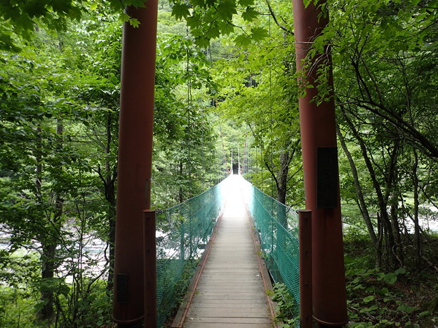 写真: この吊橋を渡ればもう少しで広河原バス停