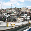 写真: イカ釣り船、秀光丸・レーダーの設置_