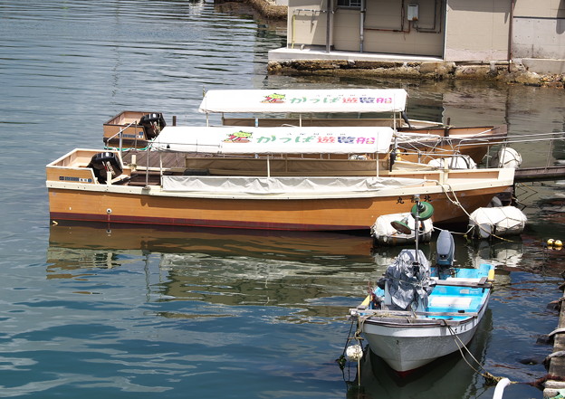 写真: 八尾川河口風景（２）かっぱ遊覧船