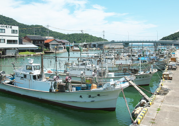 港の風景、休日のイカ釣り船（１）