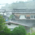 写真: 台風9号、二階自室より