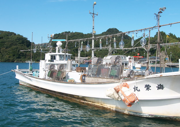 写真: 港の風景、中電裏のイカ釣り船