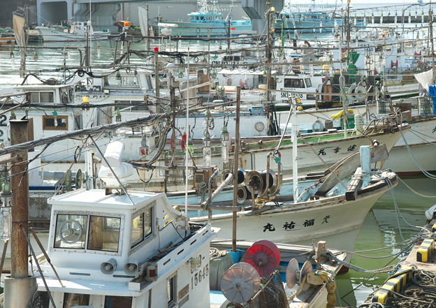 写真: 港の風景、イカ釣り船