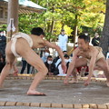 写真: 五箇地区相撲大会（９）立ち合い