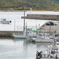 写真: 漁から帰ってきた一本釣り漁船、都万湾風景