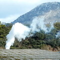 写真: ペレット製造工場の煙（１）