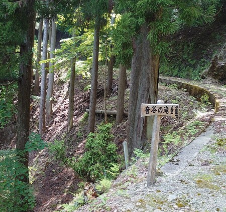 0603音谷の滝5滝壺への道