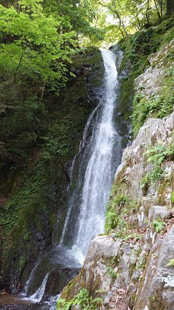 0603音谷の滝5滝壺への道2