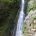 写真: 0603音谷の滝5滝壺への道2