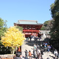 写真: 鎌倉八幡宮