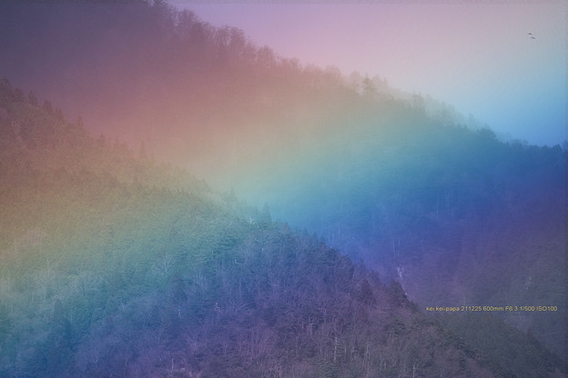 Photos: 虹に飛ぶ