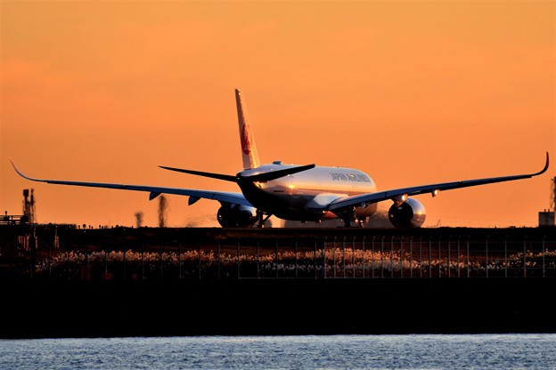 夕陽に染まる旅客機