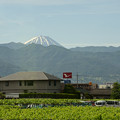 写真: そんなこんなんで富士山