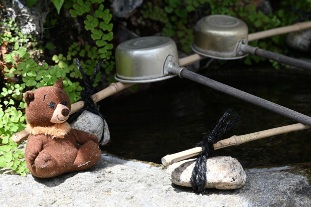 写真: 手水所のクマさん