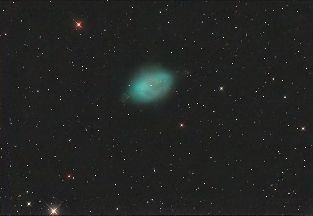 写真: NGC1360コマドリの卵星雲