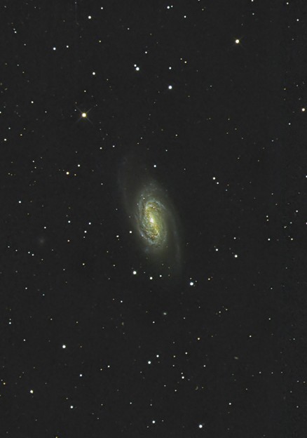 写真: NGC2903