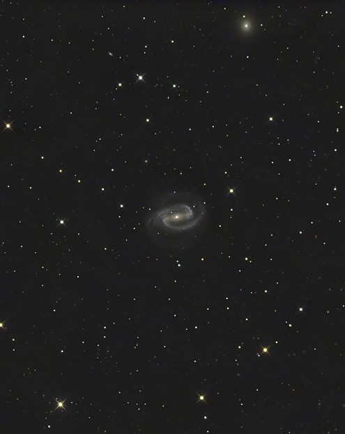 写真: 棒渦巻銀河NGC1300