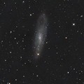 写真: NGC247