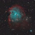 写真: 青ザル　NGC2174