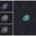 写真: 星雲の造形　かに星雲のフィラメント