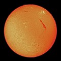 写真: Sun(230603)XE2