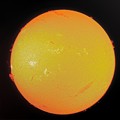 写真: Sun(230604)XE2