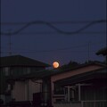 写真: MoonEclipse231029-55mmCrop