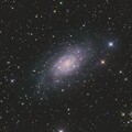 写真: 渦巻銀河NGC2403