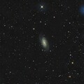 写真: NGC2903
