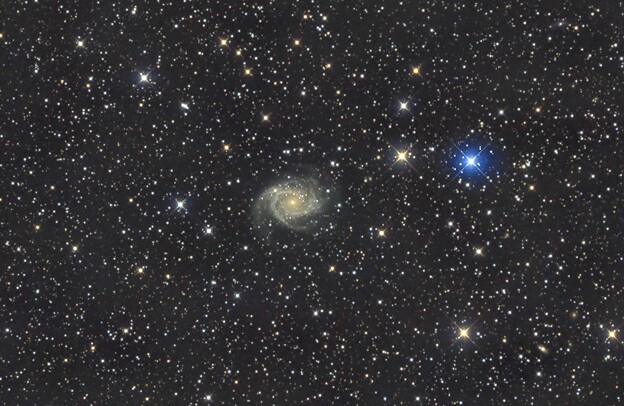 写真: 渦巻銀河NGC2997