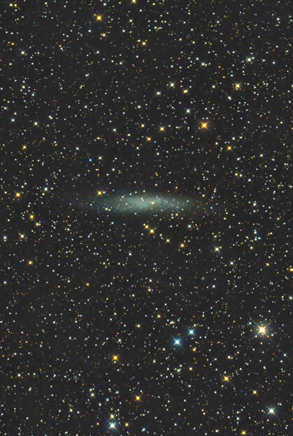 写真: NGC3109