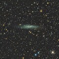 写真: NGC3109