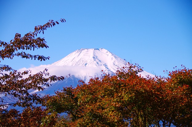 写真: IMGP1962紅葉と富士山
